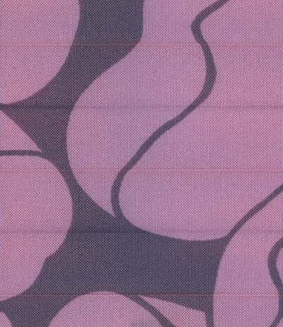 Plisee Nuevo (14)